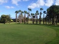 Golf green with palm trees Royalty Free Stock Photo