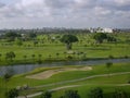Golf Greens in Miami Royalty Free Stock Photo