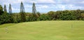 Golf in Hawaii Royalty Free Stock Photo