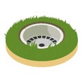 Golf hole icon, cartoon style