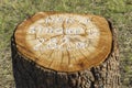 Golf Hole Information Marker Royalty Free Stock Photo