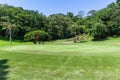 Golf Hole Trees Green Scenic Course Royalty Free Stock Photo