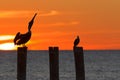 The golf of Mexico with a dramatic sunset with a pelican and cormorant perched in front of it as seen from For Myers Beach, Florid