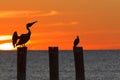 The golf of Mexico with a dramatic sunset with a pelican and cormorant perched in front of it as seen from For Myers Beach, Florid