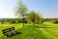 Golf park in spring