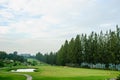 Golf place with green grass Royalty Free Stock Photo