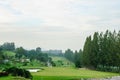 Golf place with green grass Royalty Free Stock Photo