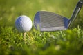 Golf play Royalty Free Stock Photo
