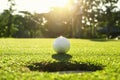 golf player putting golf ball into hole Royalty Free Stock Photo