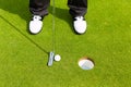 Golf player putting ball in hole Royalty Free Stock Photo