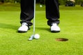 Golf player putting ball in hole Royalty Free Stock Photo