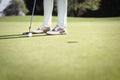 Golf player putting with copyspace. Royalty Free Stock Photo