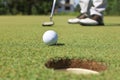 Golf player at the putting green hitting ball into a hole Royalty Free Stock Photo