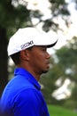 Golf player Tiger Woods Royalty Free Stock Photo