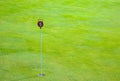 Golf practice putting green hole and marked with a red sign with space Royalty Free Stock Photo