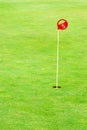 Golf practice putting hole Royalty Free Stock Photo