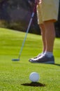 Golf putt green Royalty Free Stock Photo