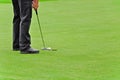 Golf, putting in hole the ball Royalty Free Stock Photo
