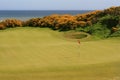 Golf on the sea