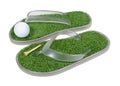 Golf Shoes with Grass