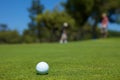 Golf Shots Royalty Free Stock Photo