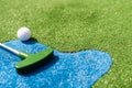 Golf stick and ball on green grass close up. Royalty Free Stock Photo