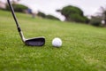 Golf stick and ball on green grass Royalty Free Stock Photo