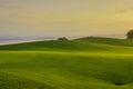 Golf Sunrise Royalty Free Stock Photo