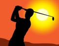 Golf Swing Represents Recreation Golfing And Exercise