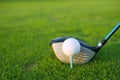 Golf tee ball club driver in green grass course