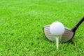 golf tee ball club driver in green grass course preparing to shot Royalty Free Stock Photo