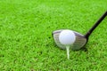 golf tee ball club driver in green grass course preparing to shot