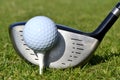 Golf Tee Box Royalty Free Stock Photo