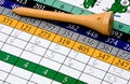 Golf tee and scorecard Royalty Free Stock Photo