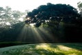 Golf teeing ground in the morning Royalty Free Stock Photo