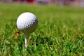 Golf Tees and Ball Royalty Free Stock Photo