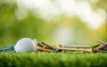 Golf tees with ball Royalty Free Stock Photo