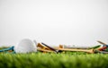 Golf tees with ball Royalty Free Stock Photo