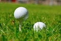 Golf Tees and Ball Royalty Free Stock Photo