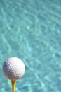 Golf Tees and Ball vertical Royalty Free Stock Photo