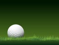 Golf tournament vector background place for text Royalty Free Stock Photo