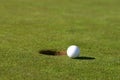 Golfball Royalty Free Stock Photo