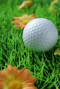 Golfball in close-up on artificial grass Royalty Free Stock Photo