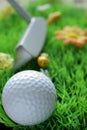 Golfball and club on artificial grass Royalty Free Stock Photo