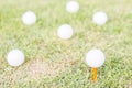 golfball on grass. Royalty Free Stock Photo