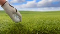 Golfball on green grass golf course, blue cloudy sky background