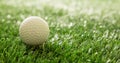 Golfball on green grass golf course, close up view Royalty Free Stock Photo