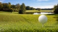 Golfball on green grass golf course, trees and a small pond, blue sky background. 3d illustartion Royalty Free Stock Photo