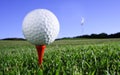 Golfball tee Royalty Free Stock Photo