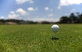 Golfball on the tee